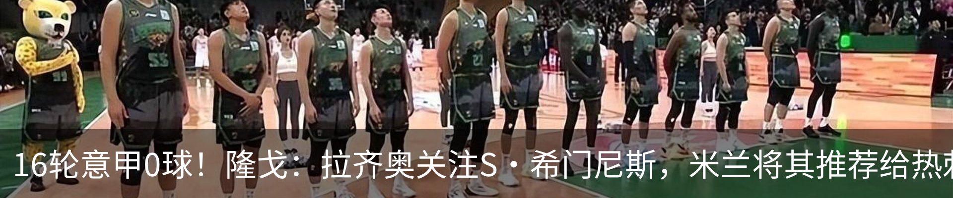新闻动态